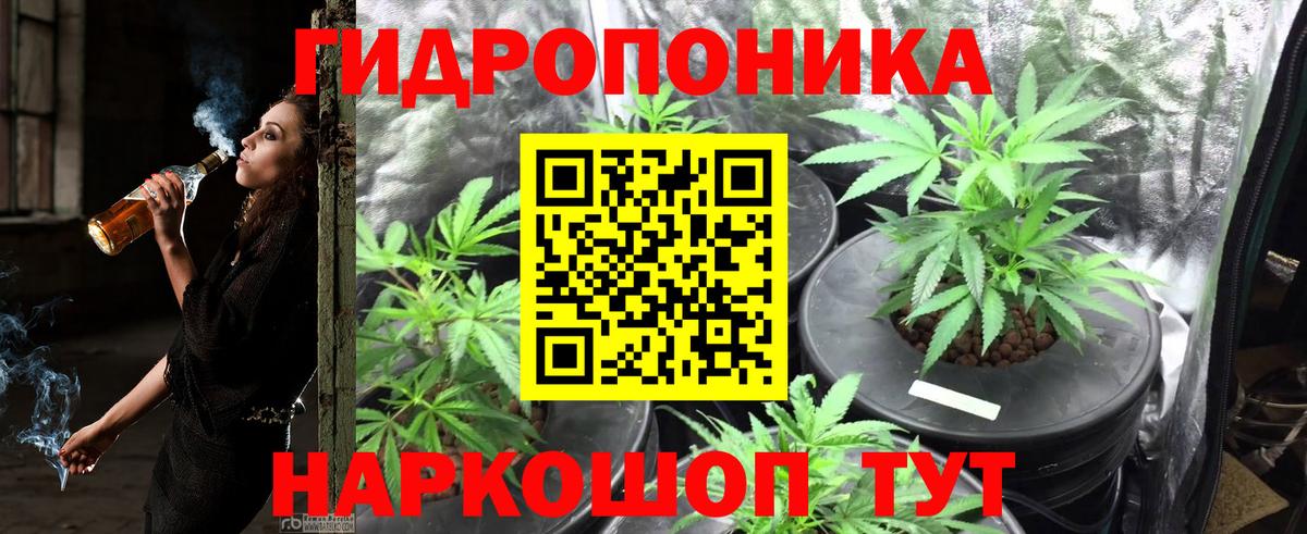Бошки марихуана LSD WEED  Вход с VPN  Шишки марихуана SATIVA & INDICA  Прокопьевск 